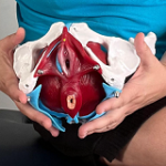 suelo pelvico castellar del valles